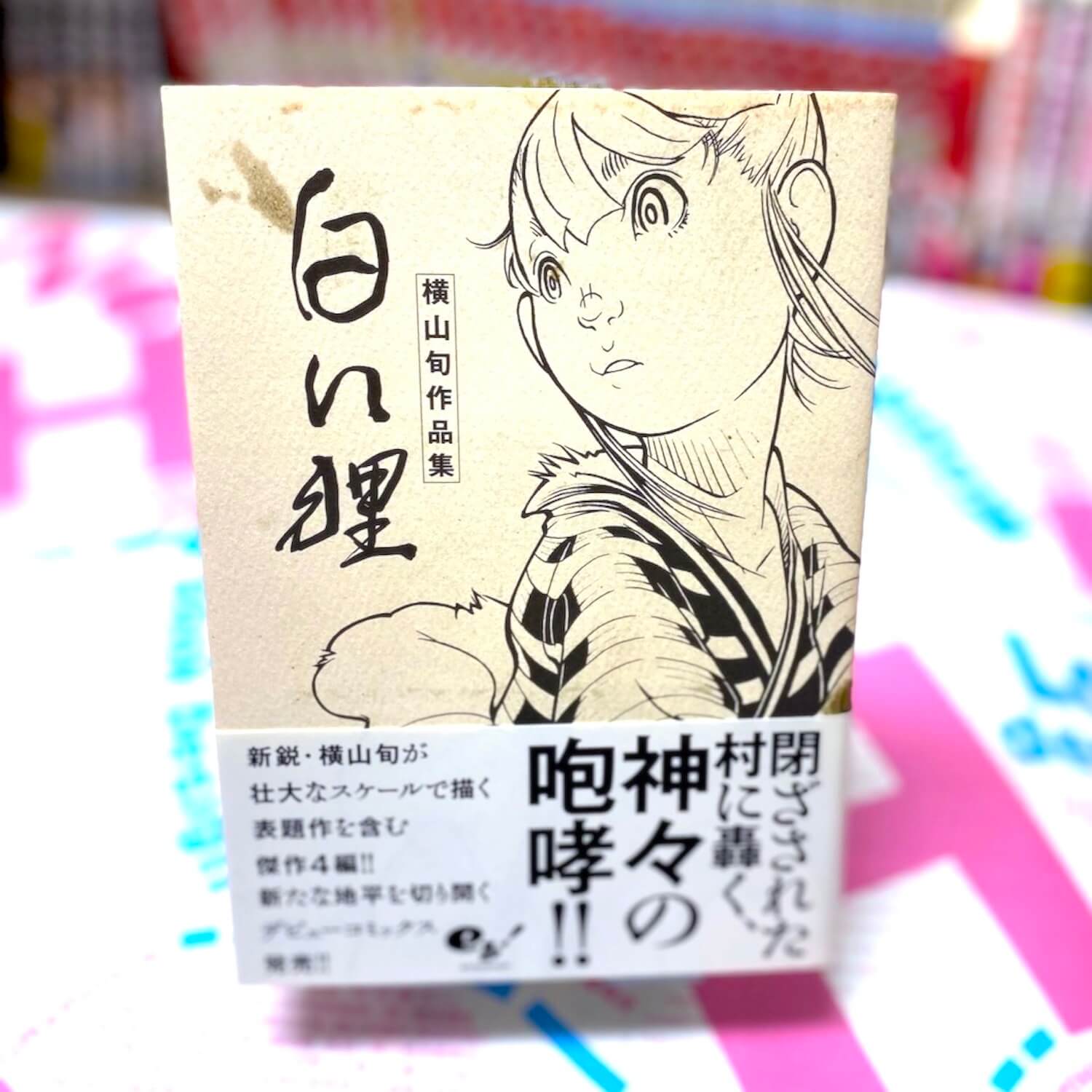 白い狸 横山旬作品集